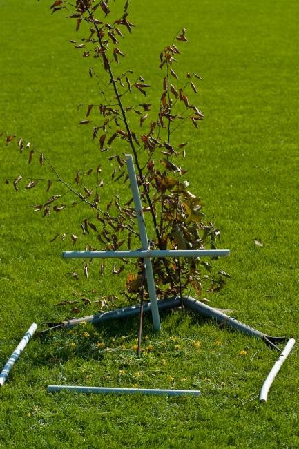 Bild »_DSC0609.jpg« aus der Galerie »LFV Jugend: Ferienfreizeit«