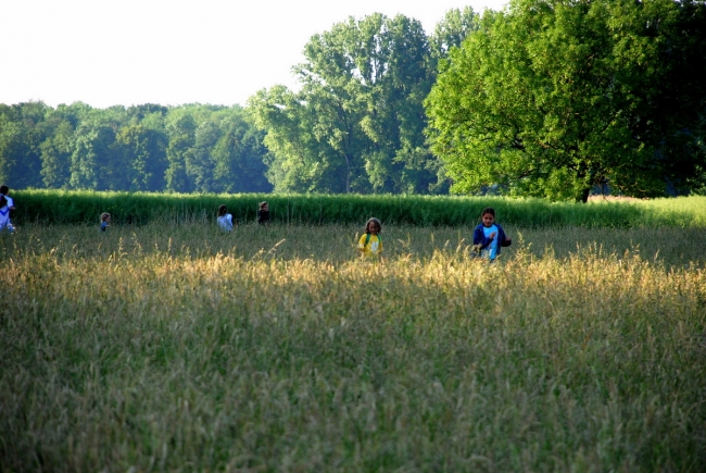 Bild »DSC_3937.JPG« aus der Galerie »LFV Jugend: Grillfest«