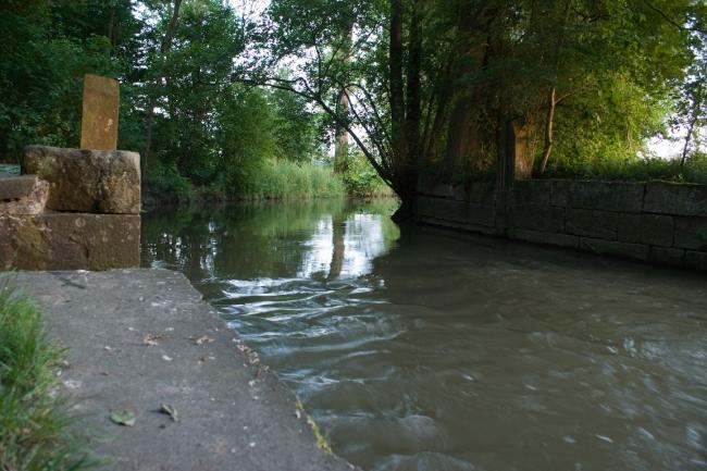 Bild »DSC01375.jpg« aus der Galerie »LFV Jugend: Grill am Fluss«