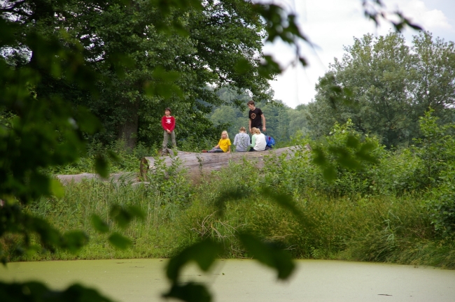 Bild »IMGP2450.JPG« aus der Galerie »LFV Jugend: Grill am Fluss«