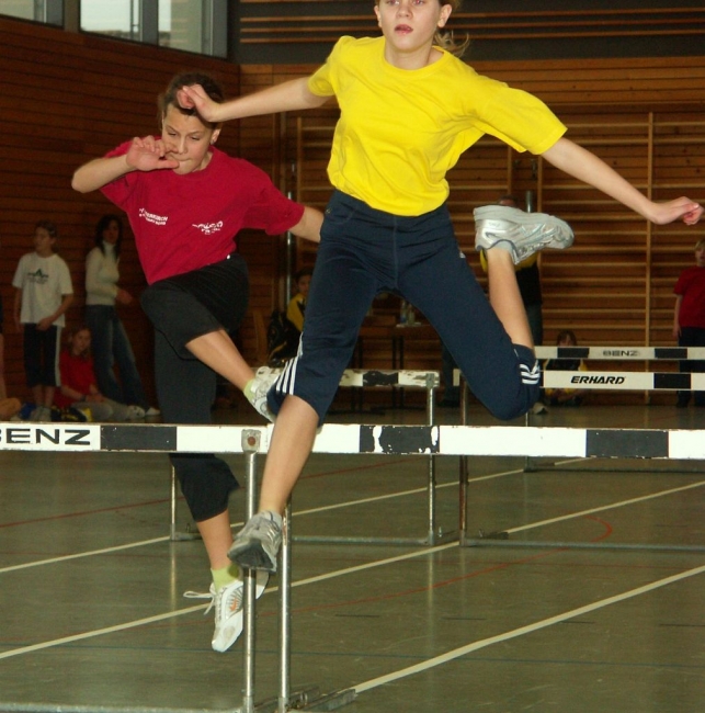 Bild »haspo06_139.jpg« aus der Galerie »Schülerhallensportfest«