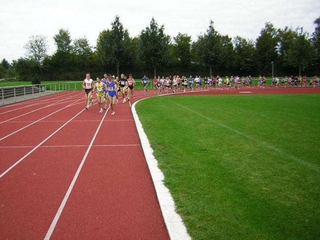 Bild »hlauf06_008.jpg« aus der Galerie »Herbstlauf«