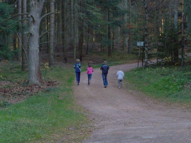 Bild »huette05_100.jpg« aus der Galerie »LFV Jugend: Herbstlager«