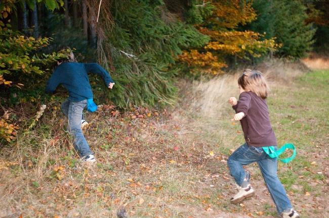 Bild »DSC05310.jpg« aus der Galerie »LFV Jugend: Herbstlager Fehrenbacher Hof«