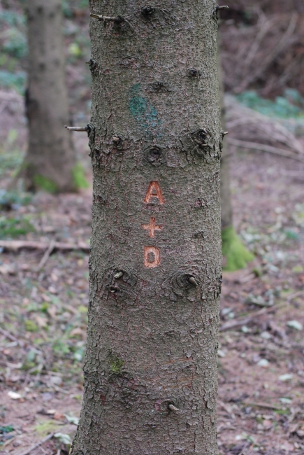 Bild »DSC_9146.JPG« aus der Galerie »LFV Jugend: Herbstlager Unterschembachhof«