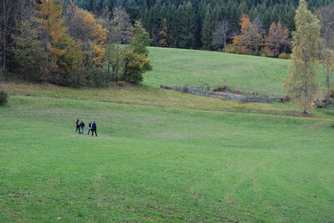 Bild »DSC_9148.JPG« aus der Galerie »LFV Jugend: Herbstlager Unterschembachhof«