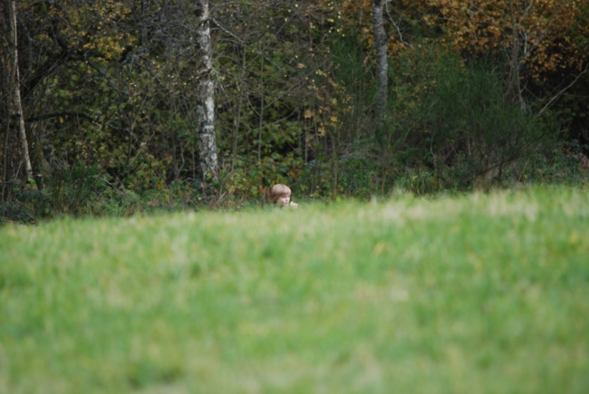 Bild »DSC_9218.JPG« aus der Galerie »LFV Jugend: Herbstlager Unterschembachhof«