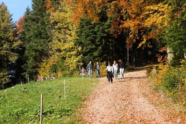 Bild »DSC00936.jpg« aus der Galerie »LFV Jugend: Herbstlager«