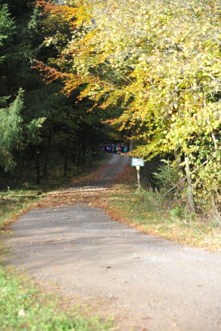 Bild »DSA_6972.jpg« aus der Galerie »LFV Jugend: Herbstlager«