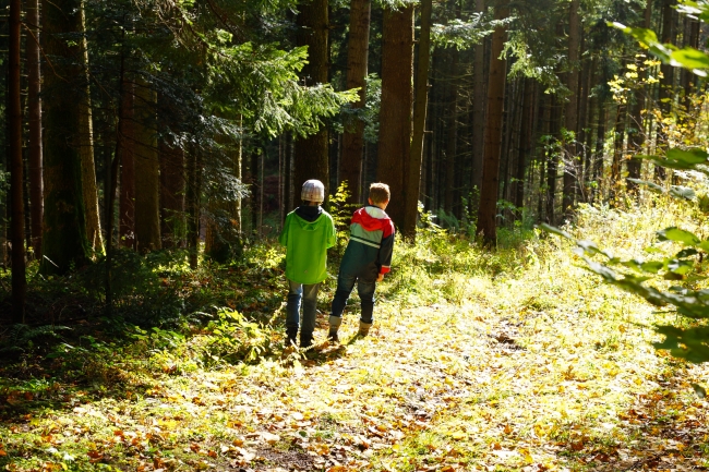 Bild »DSC00340.jpg« aus der Galerie »LFV Jugend: Herbstlager«