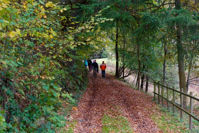 Bild »DSC00348.jpg« aus der Galerie »LFV Jugend: Herbstlager«