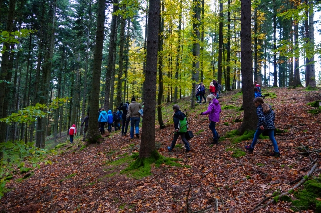 Bild »DSC00392.jpg« aus der Galerie »LFV Jugend: Herbstlager«