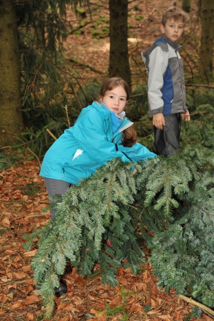 Bild »DSA_3980.JPG« aus der Galerie »LFV Jugend: Herbstlager«