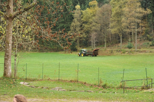 Bild »DSA_4681.JPG« aus der Galerie »LFV Jugend: Herbstlager«