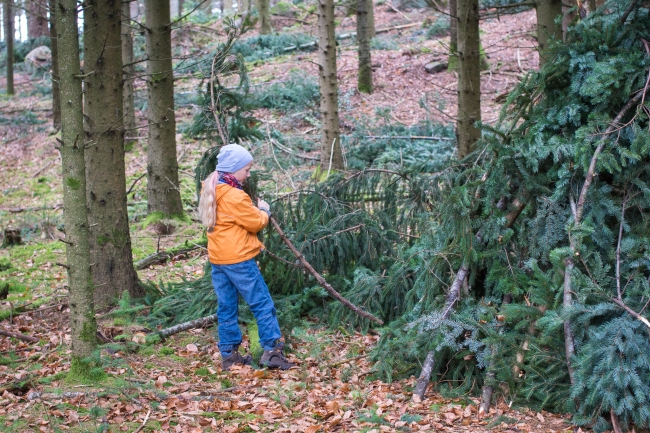 Bild »DSC02559.jpg« aus der Galerie »LFV Jugend: Herbstlager«