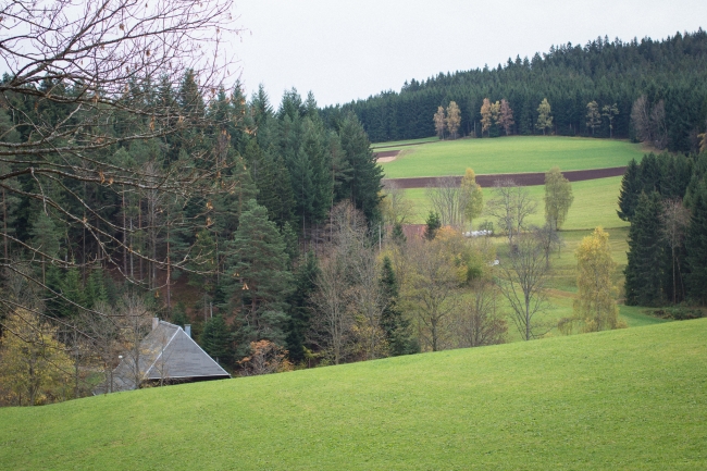 Bild »DSC02570.jpg« aus der Galerie »LFV Jugend: Herbstlager«