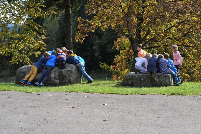 Bild »DSA_6872.JPG« aus der Galerie »LFV Jugend: Herbstlager«