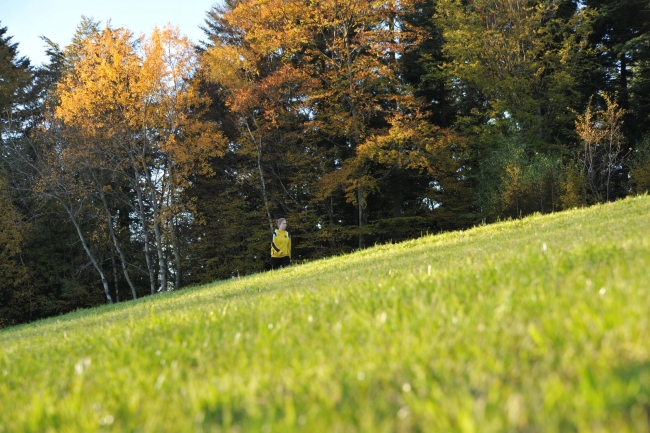 Bild »DSA_7286.JPG« aus der Galerie »LFV Jugend: Herbstlager«