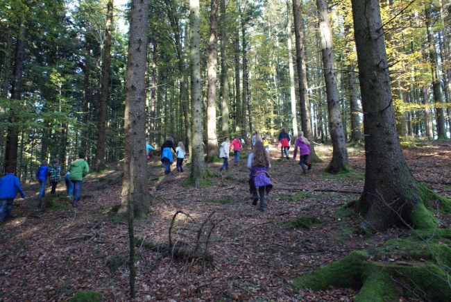 Bild »DSC04281.JPG« aus der Galerie »LFV Jugend: Herbstlager«