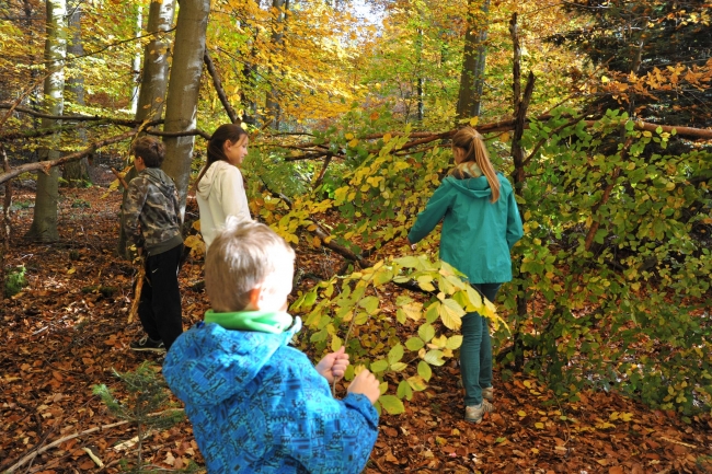 Bild »DSA_1808.JPG« aus der Galerie »LFV Jugend: Herbstlager«