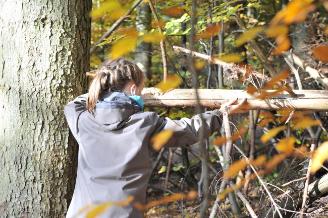 Bild »DSA_1870.JPG« aus der Galerie »LFV Jugend: Herbstlager«