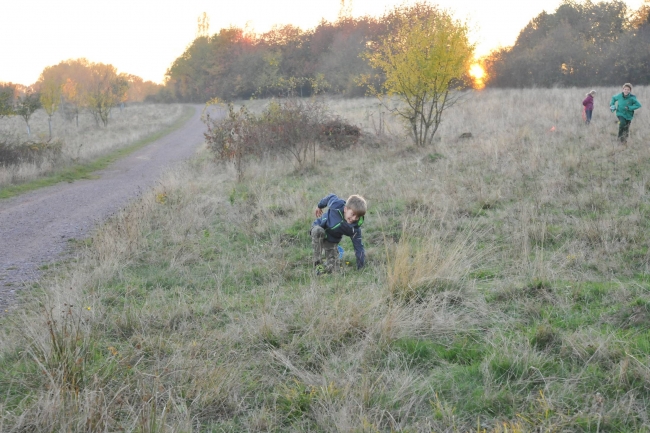 Bild »DSA_2361.JPG« aus der Galerie »LFV Jugend: Herbstlager«