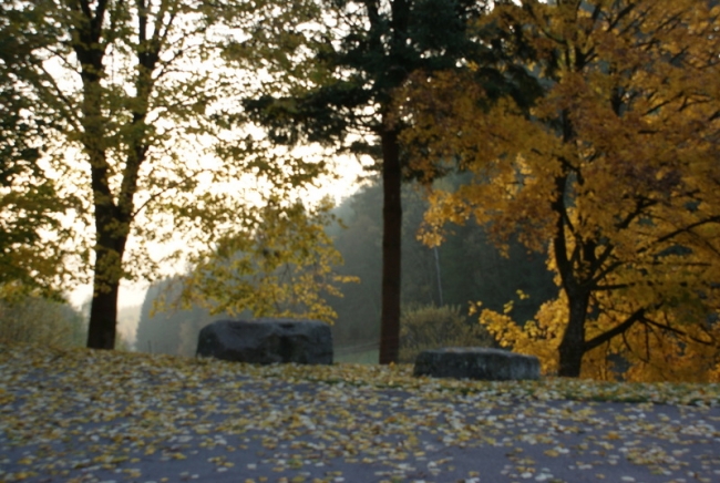 Bild »DSC06754.JPG« aus der Galerie »LFV Jugend: Herbstlager«