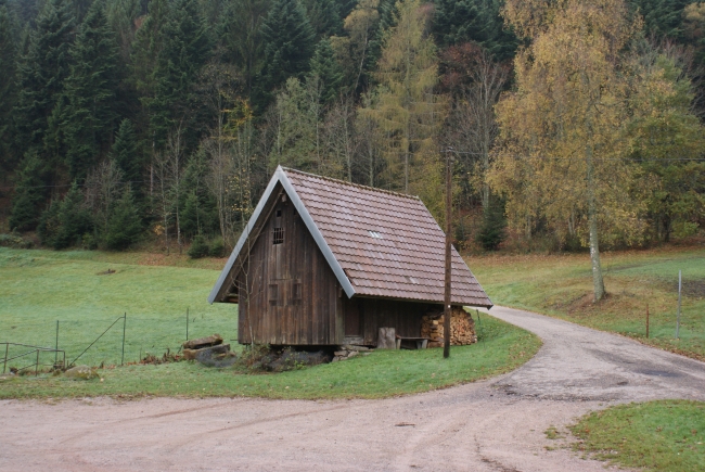 Bild »DSC08168.JPG« aus der Galerie »LFV Jugend: Herbstlager«