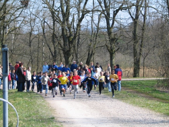 Bild »kwald04_02.JPG« aus der Galerie »Kreiswaldlauf-Meisterschaften«