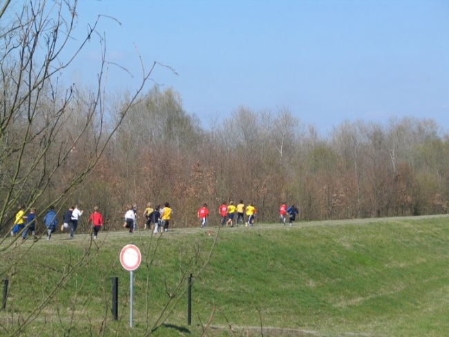 Bild »kwald04_03.JPG« aus der Galerie »Kreiswaldlauf-Meisterschaften«