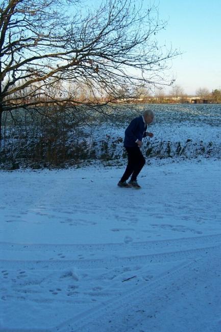 Bild »silv02.jpg« aus der Galerie »Silvesterlauf«