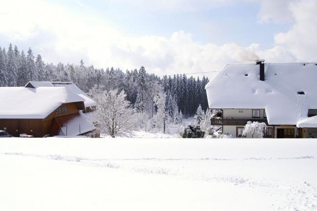 Bild »tschloss06_165.jpg« aus der Galerie »Trainingslager Schlosshof«