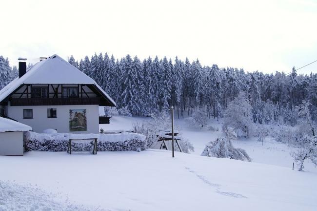 Bild »tschloss06_171.jpg« aus der Galerie »Trainingslager Schlosshof«