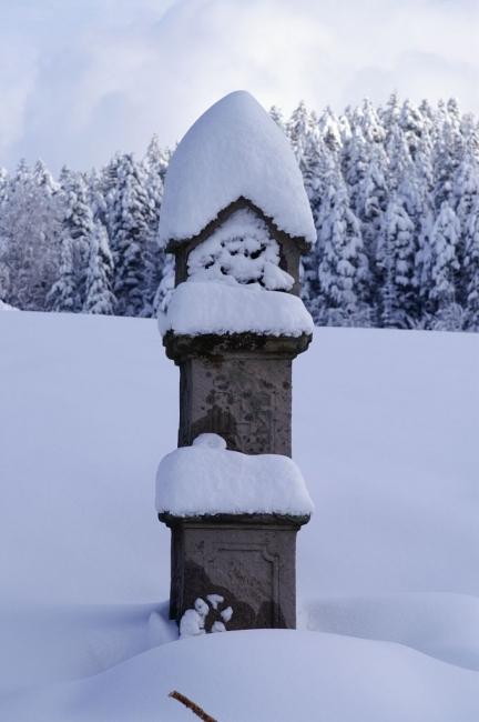 Bild »tschloss06_175.jpg« aus der Galerie »Trainingslager Schlosshof«