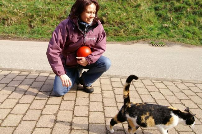 Bild »tschloss07_20.jpg« aus der Galerie »Trainingslager Schlosshof«