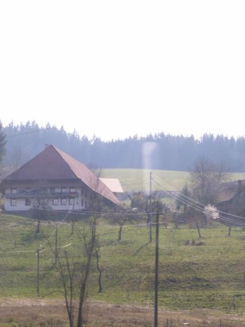 Bild »tschloss07_74.jpg« aus der Galerie »Trainingslager Schlosshof«