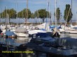 Herrliche Ausblicke unterwegs Bild der Marathonis beim Dreiländer Marathon am Bodensee